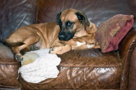 How to Fix Large Hole in Leather Couch